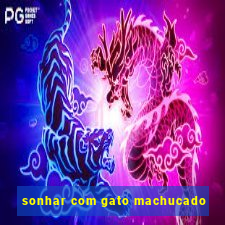 sonhar com gato machucado